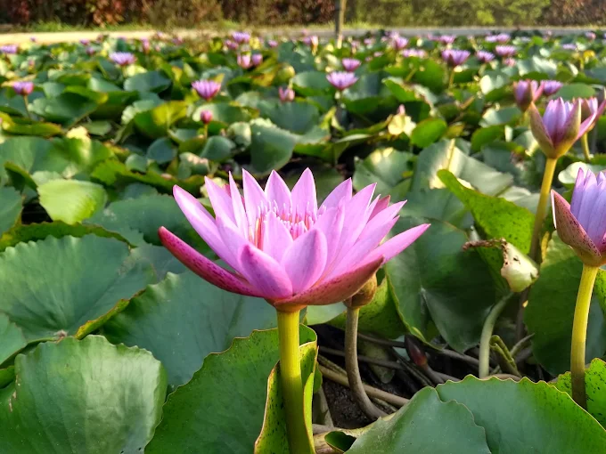 unnamed - 2025-09-02T134004.424