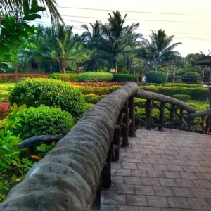 unnamed - 2025-09-02T134044.528