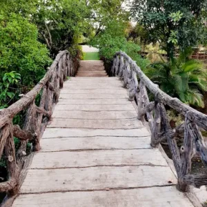 unnamed - 2025-09-02T134051.327