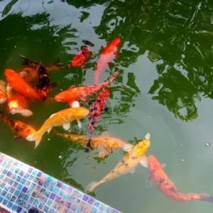 unnamed - 2025-09-02T134206.160